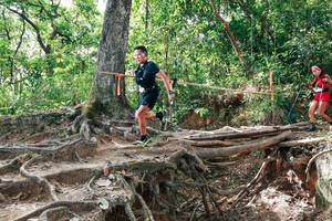 BIB: 
                            <button type="button" onclick="openModal(27718188)" class="btn btn-primary btn-sm float-right btn-popup" data-toggle="modal" data-target=".modal-high-quality">
                        <i class="fas fa-shopping-cart"></i> Add to Cart
                    </button>
                                            <button type="button" onclick="isThisMe(27718188, true)" class="btn btn-success btn-sm float-right btn-popup btn-isme hidden" data-toggle="tooltip" data-placement="bottom" title="นี่คือรูปของคุณใช่ไหม คลิกที่นี่เพื่อเอาเข้าอัลบั้ม">
                        <i class="fas fa-plus"></i> Add to album
                    </button>
                    <button type="button" onclick="isThisMe(27718188, false)" class="btn btn-warning btn-sm float-right btn-popup btn-isnotme hidden">
                        <i class="fas fa-ban"></i> Remove from album
                    </button>